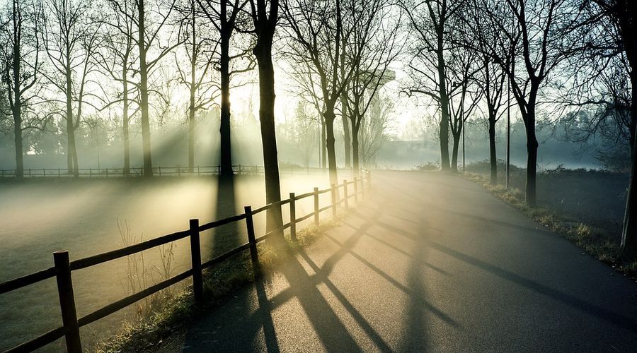 След като сутрешните мъгли се вдигнат, ще преобладава слънчево време